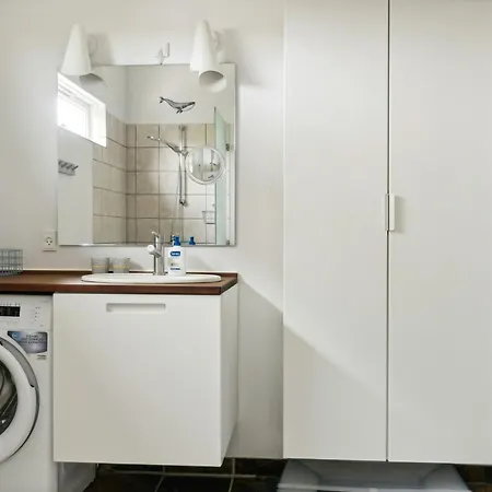 Bright Near One Of Denmark's Beaches *